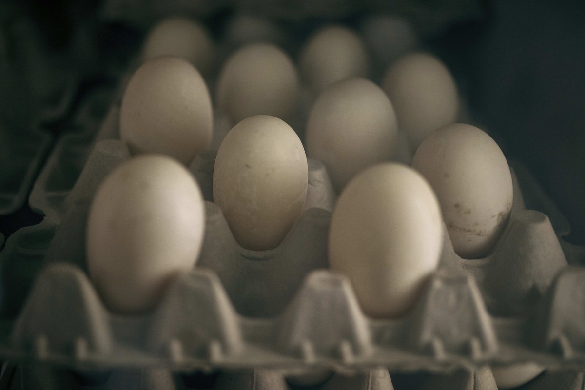 FILE - Eggs for sale are displayed inside a poultry store on Friday, Feb. 7, 2025, in New York. (AP Photo/Andres Kudacki, File)
US Egg Prices