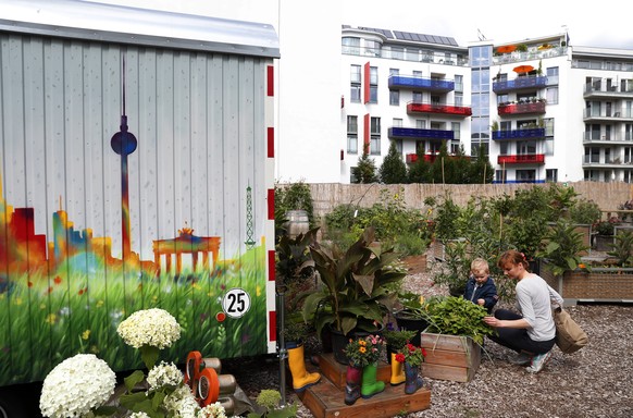 epa06091581 A woman and her young son inspect a plant at the Vattenfall urban garden in Berlin, Germany, 14 July 2017 (issued 16 July 2017). An increasing number of people are engaging in city gardeni ...