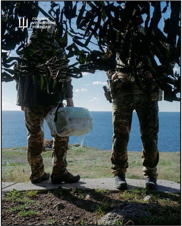 Ukrainischer Militärgeheimdienst HUR evakuiert Katzen von Schlangeninsel (November 2024).