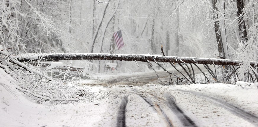 A tree lies across Scotchtown Road in Hanover County, Va., during a snowstorm Monday, Jan. 3, 2022. (Alexa Welch Edlund/Richmond Times-Dispatch via AP)