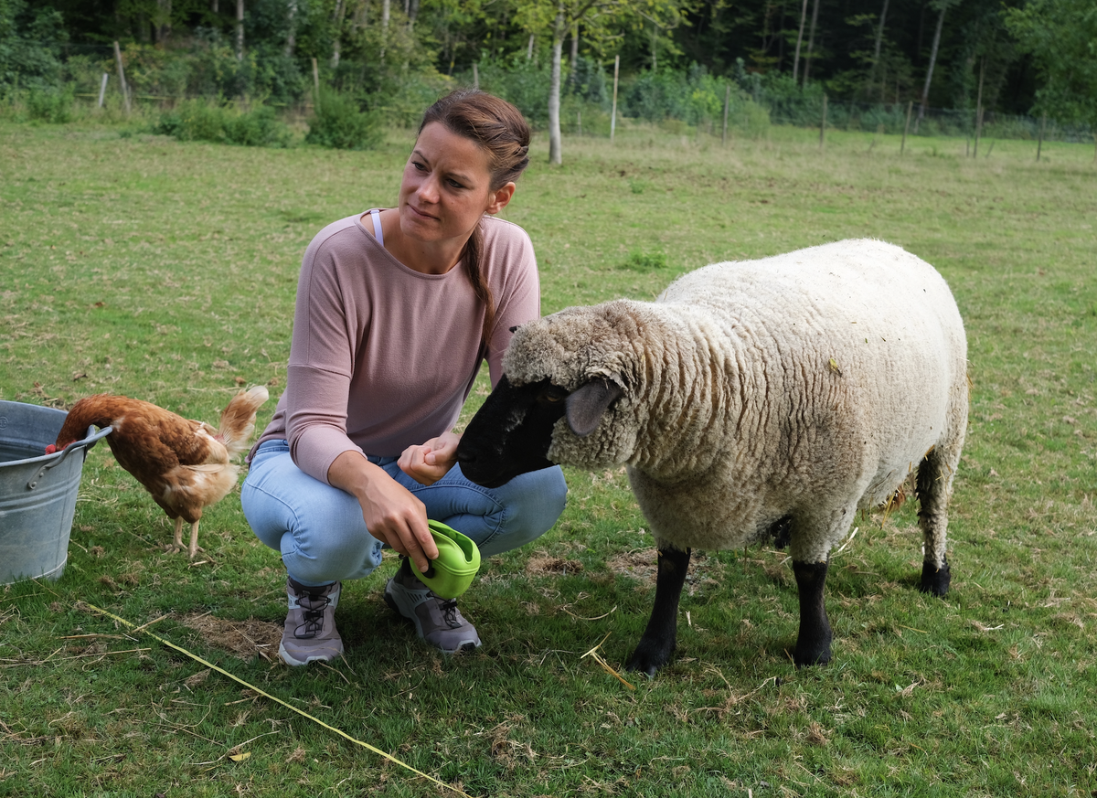 Massentierhaltung, Tierhaltung, Bauernhof, Lebenshof, Umstellung Landwirtschaft, Bio, Tierhaltung, Massentierhaltungsinitative