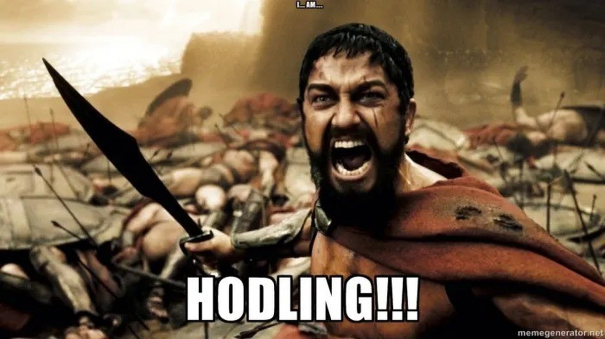 Hodling mème bitcoin.