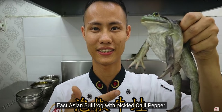 chef wang gang china chinesische küche kantonesisches essen food kochen youtube frosch ratte stierkopf salamander https://www.youtube.com/channel/UCg0m_Ah8P_MQbnn77-vYnYw