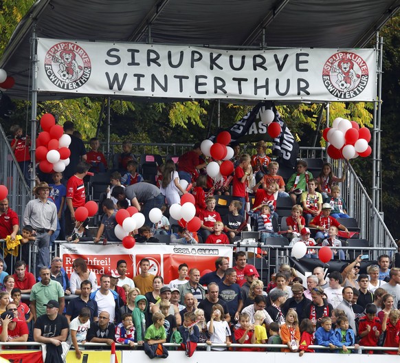 Sirupkurve Winterthur, FC Winterthur, Challenge League im Jahr 2014.