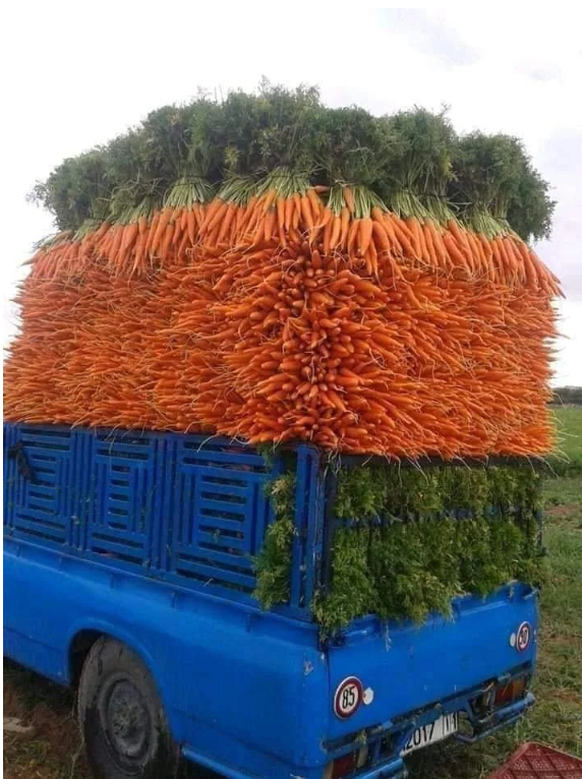 Perfekte Karotten auf dem Auto
