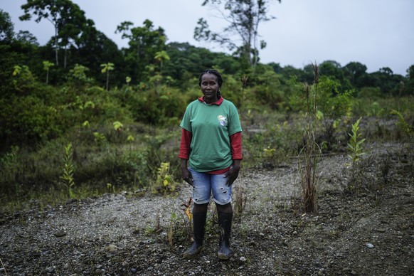 Dioselina Palacios, part of Asociacion Nuestra Casa Comun, or Our Community House Association, poses for a photo while reforesting an area near Paimado, Colombia, Tuesday, Sept. 24, 2024. (AP Photo/Iv ...