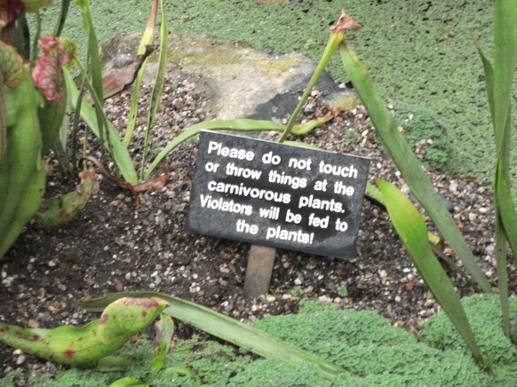 34 Bilder von Geschäften, die uns mit ihrem Witz um den Finger wickeln wollen
Aus dem botanischen Garten in San Diego :D