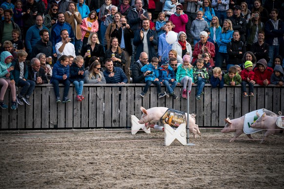 Säulirennen an der 77. OLMA, 2019.