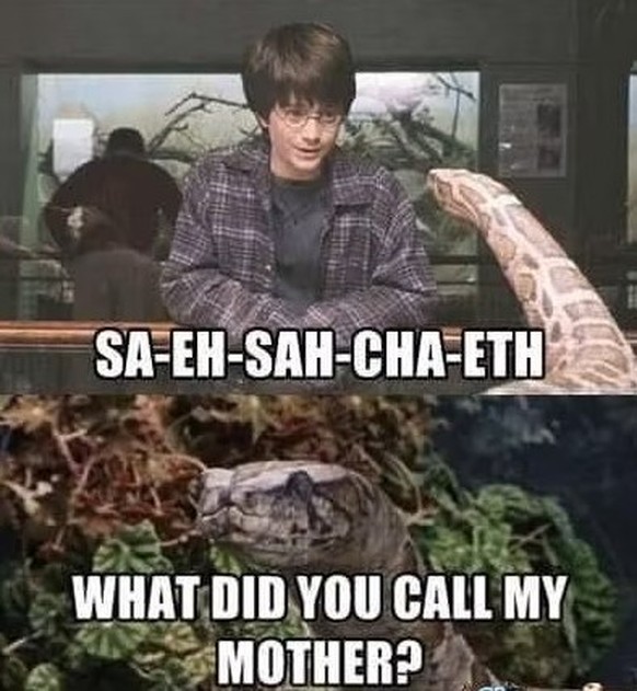 Harry Potter - The best memes about the film series