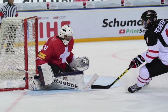 Gut, aber noch nicht überragend: Goalie Joren van&nbsp;Pottelberghe.