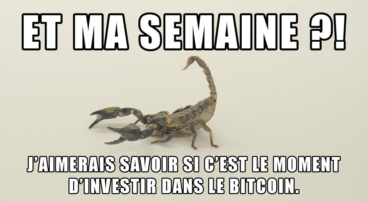 La semaine des Scorpion