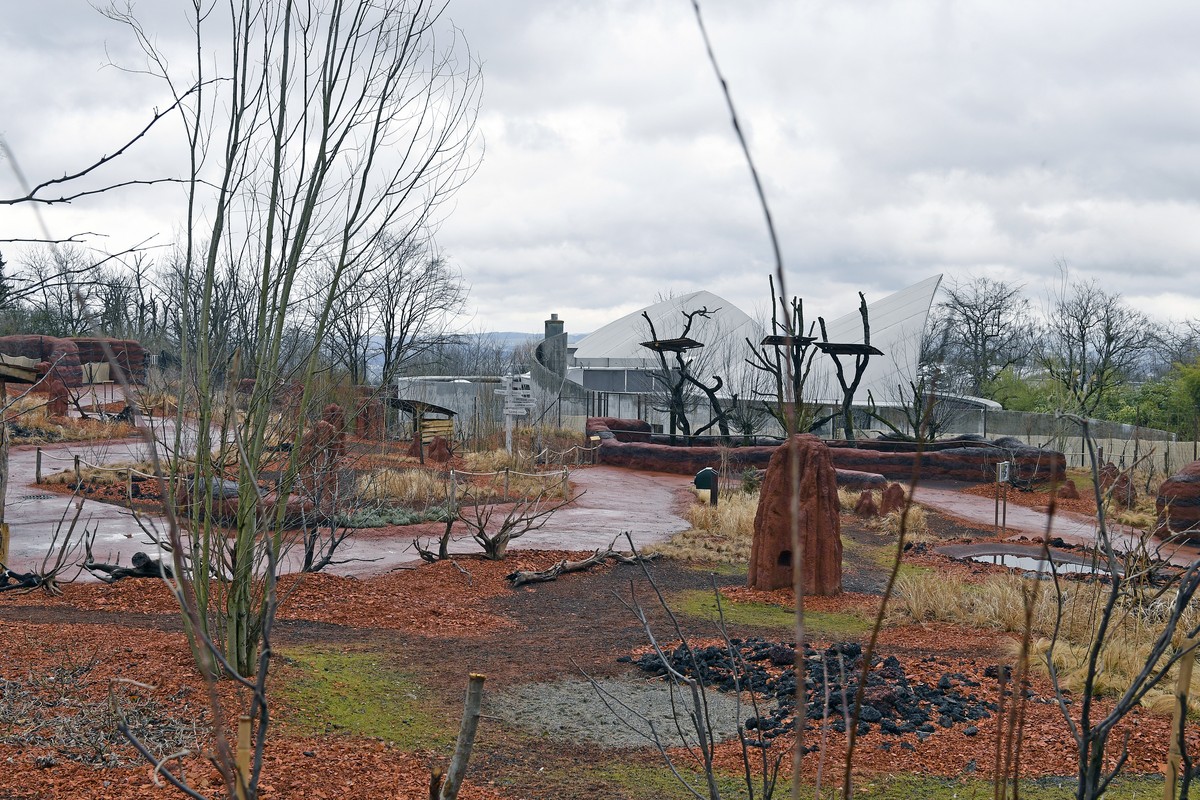 Neue Australienanlage im Zoo Zuerich am Mittwoch, 28. Maerz 2018. (KEYSTONE/Walter Bieri)