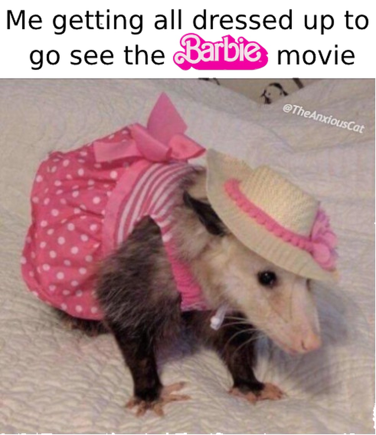 Barbie meme

https://imgur.com/t/barbie_movie/iklEbBM
