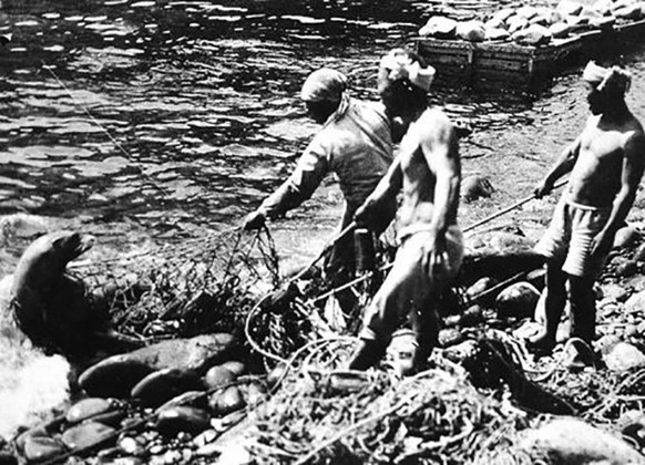 Sealing at Liancourt Rocks by Japanese fishermen in 1934