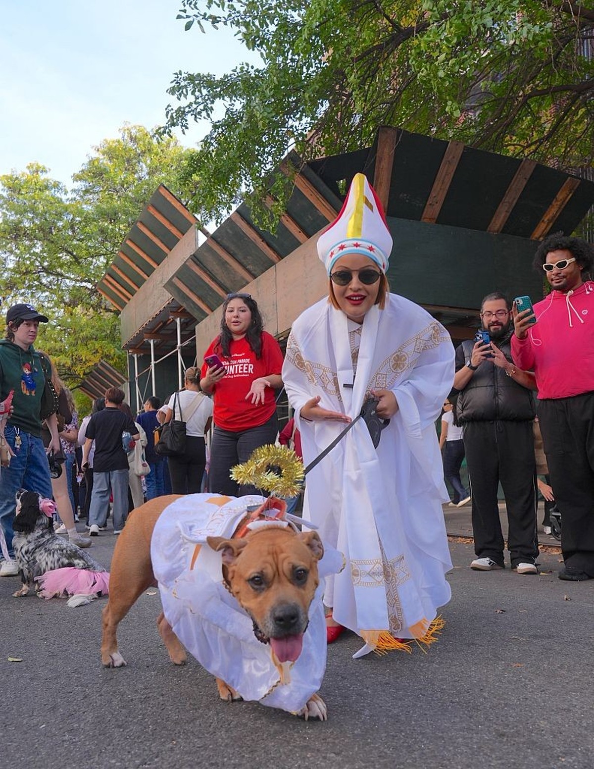 NEW YORK, UNITED STATES - OCTOBER 19: Dog owners in New York City are participating in the Tompkins Square Halloween Dog Parade, dressing their furry friends in colorful costumes on Sunday, October 19 ...