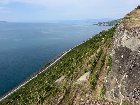 Mont Pèlerin Vevey Lavaux Weinterrassen Epesse Dézaley