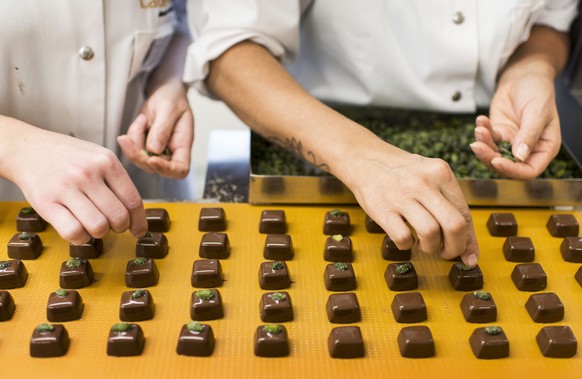 ARCHIV --- Bei der Pistache-Praline werden die Pistazien von Hand platziert, aufgenommen am 2. Oktober 2013 in der Produktionsstaette des Schokoladenproduzenten Laederach in Ennenda, Kt. Glarus. Die F ...