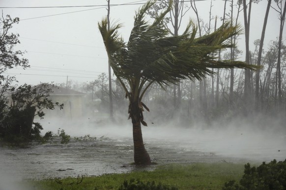 Strong wind from Hurricane Dorian blow the tops of trees while whisking up water from the surface of a canal in Freeport, Grand Bahama, Bahamas, Monday, Sept. 2, 2019. Hurricane Dorian hovered over the Bahamas on Monday, pummeling the islands with a fearsome Category 4 assault that forced even rescue crews to take shelter until the onslaught passes. (AP Photo/Tim Aylen)