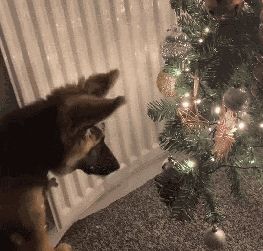 Animiertes GIF