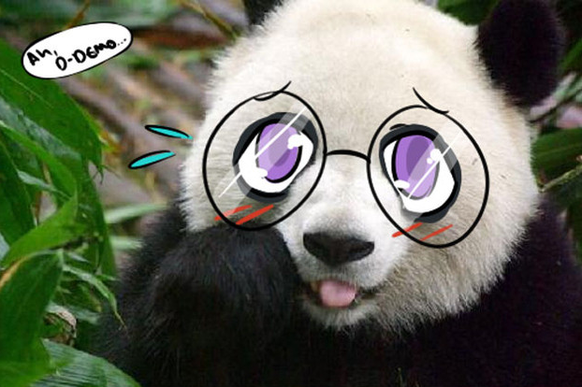 Panda mit Anime-Augen
Cute News
http://imgur.com/gallery/Rv2pW