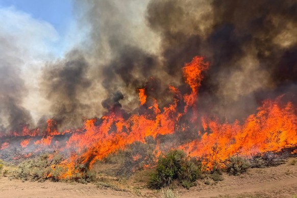 This undated photo provided by the U.S. Forest Service on Friday, Aug. 7, 2026, shows the Widemouth 2 wildfire burning near Richfield, Utah. (U.S. Forest Service/Fishlake National Forest via AP)
Weste ...