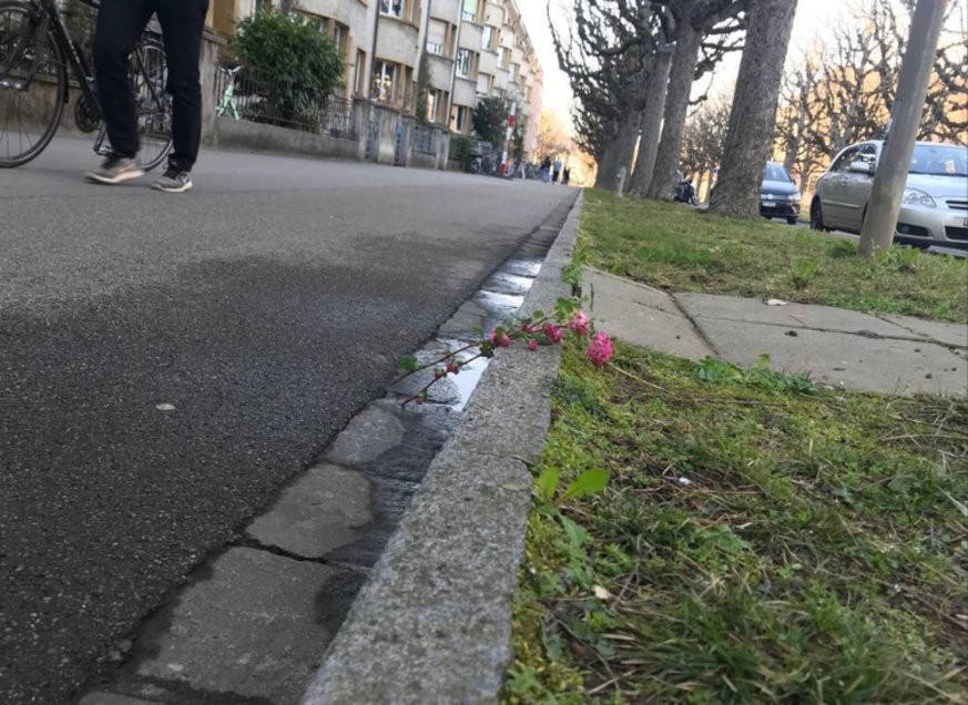 Blumen am Tatort: Der Knabe wurde auf dem Trottoir angegriffen. bild: nicole nars-zimmer