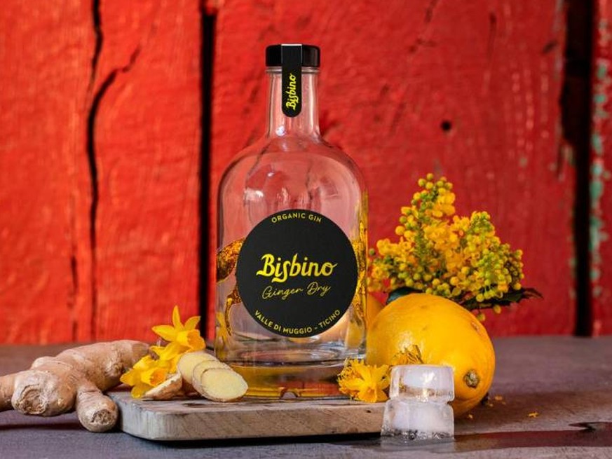 bisbino ginger dry gin tessin ticino alkohol drinks trinken https://wp.bisbino.ch/home_en/