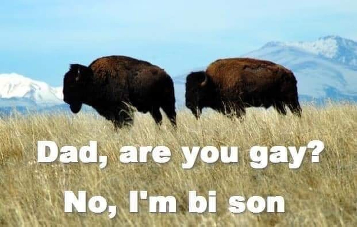 Willkommen zum 291. PICDUMP! ЁЯШ▒
ЁЯд╖тАНтЩВя╕П