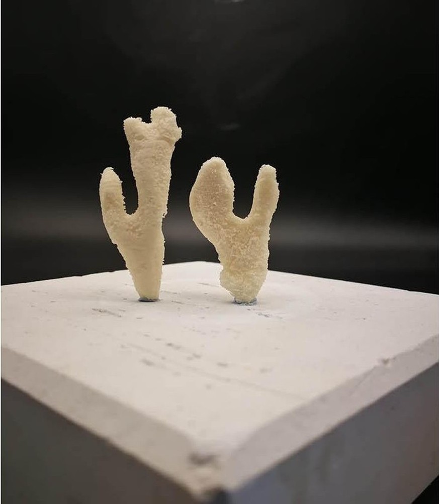 3D printing: Artificial coral reefs should also be possible with the new material.