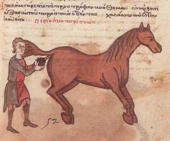 21 mittelalterliche Tier-Zeichnungen, die skurriler nicht sein könnten
Wieso auch immer....aber dem Pferd scheint es zu gefallen 🤷🏼‍♀️