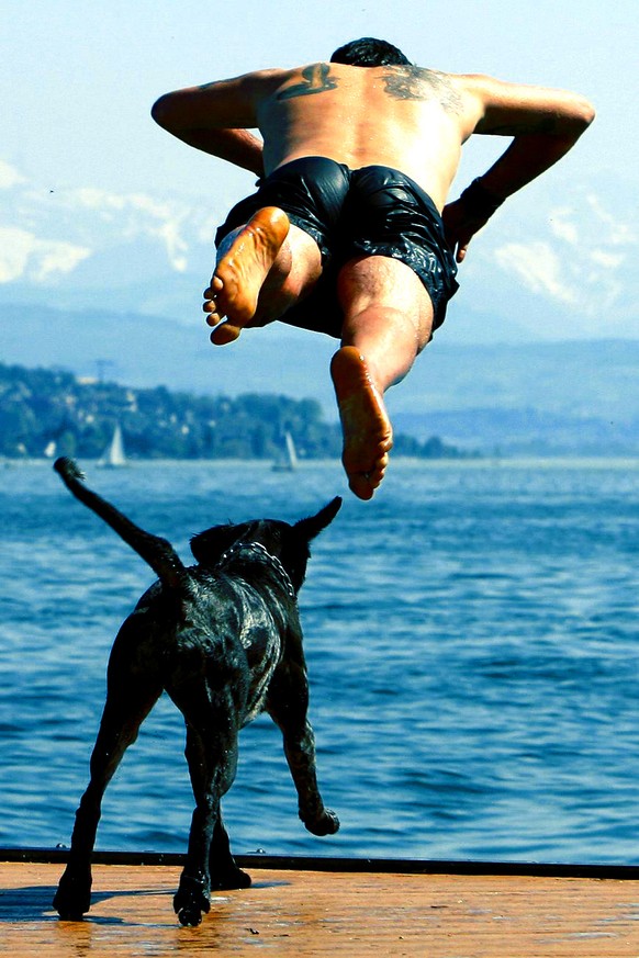 Ein Mann und sein Hund springen ins Wasser an der Sonne am Zuerichsee am Sonntag, 22. April 2007 in Zuerich. (KEYSTONE/Alessandro Della Bella)

A man and his dog jump into the lake of Zurich in Zurich ...