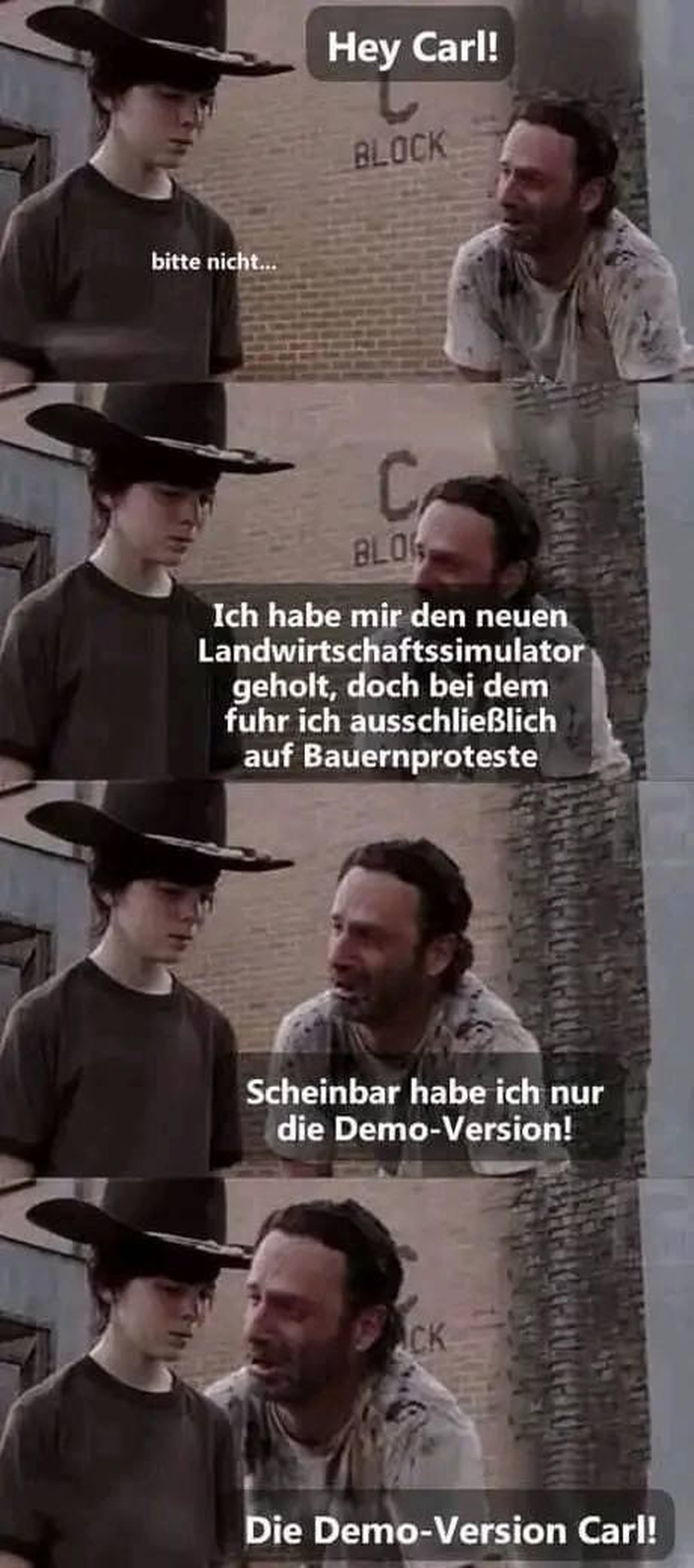 Bild