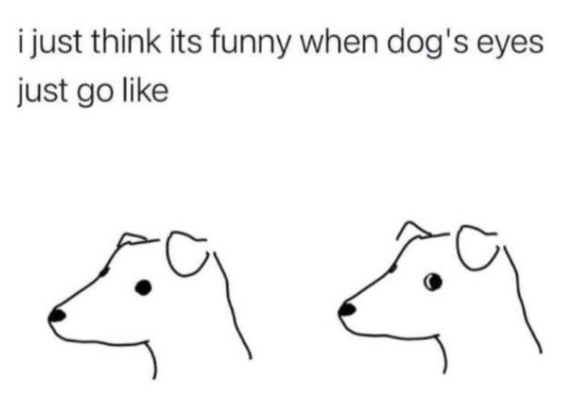 Funny dog ​​memes for world dog day.