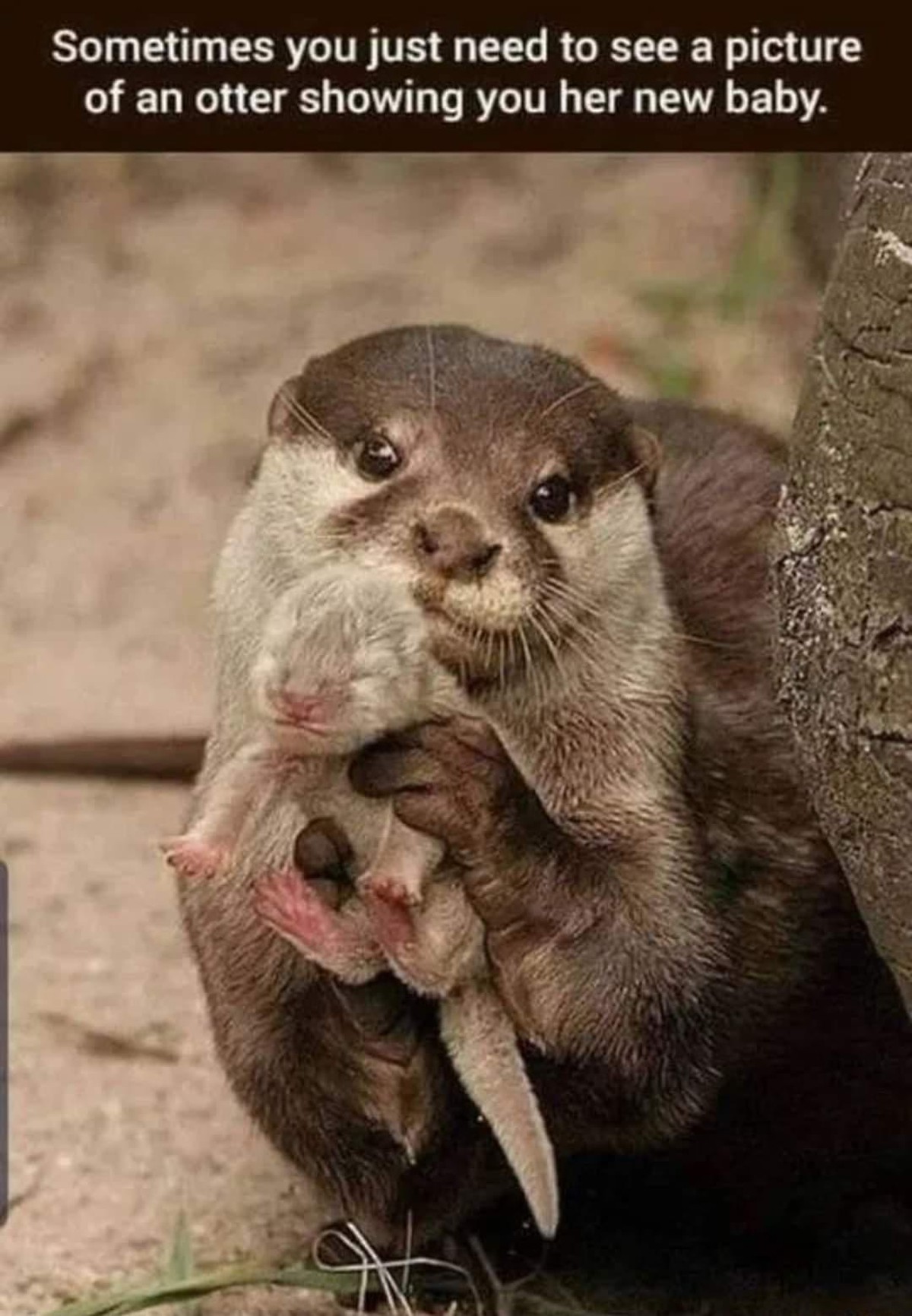 Du bist auch eingeladen, hopp! PICDUMP!
рџҐ°