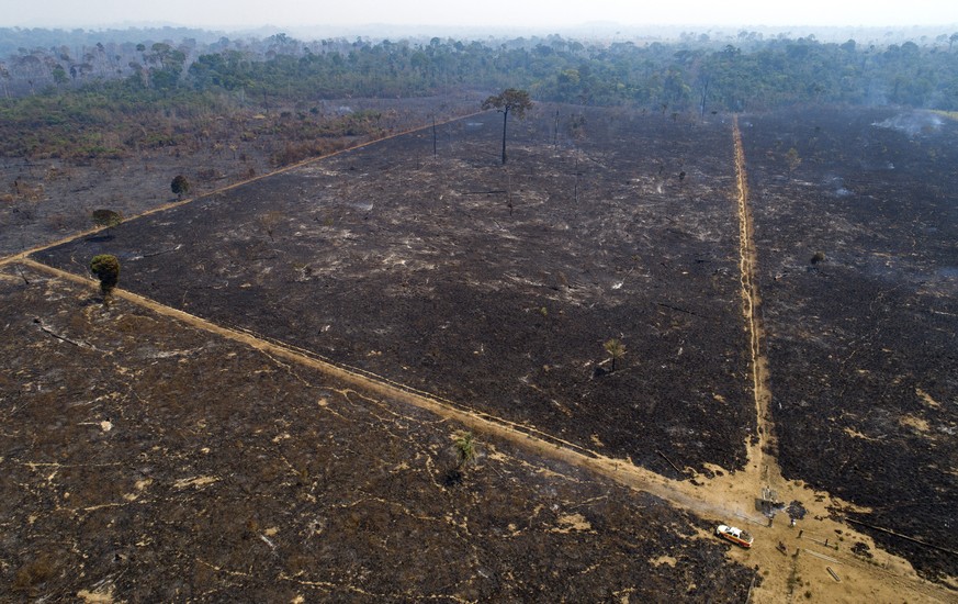 An area consumed by fire and cleared near Novo Progresso in Para state, Brazil, Tuesday, Aug. 18, 2020. While the threat under the administration of President Jair Bolsonaro is the latest and most sev ...