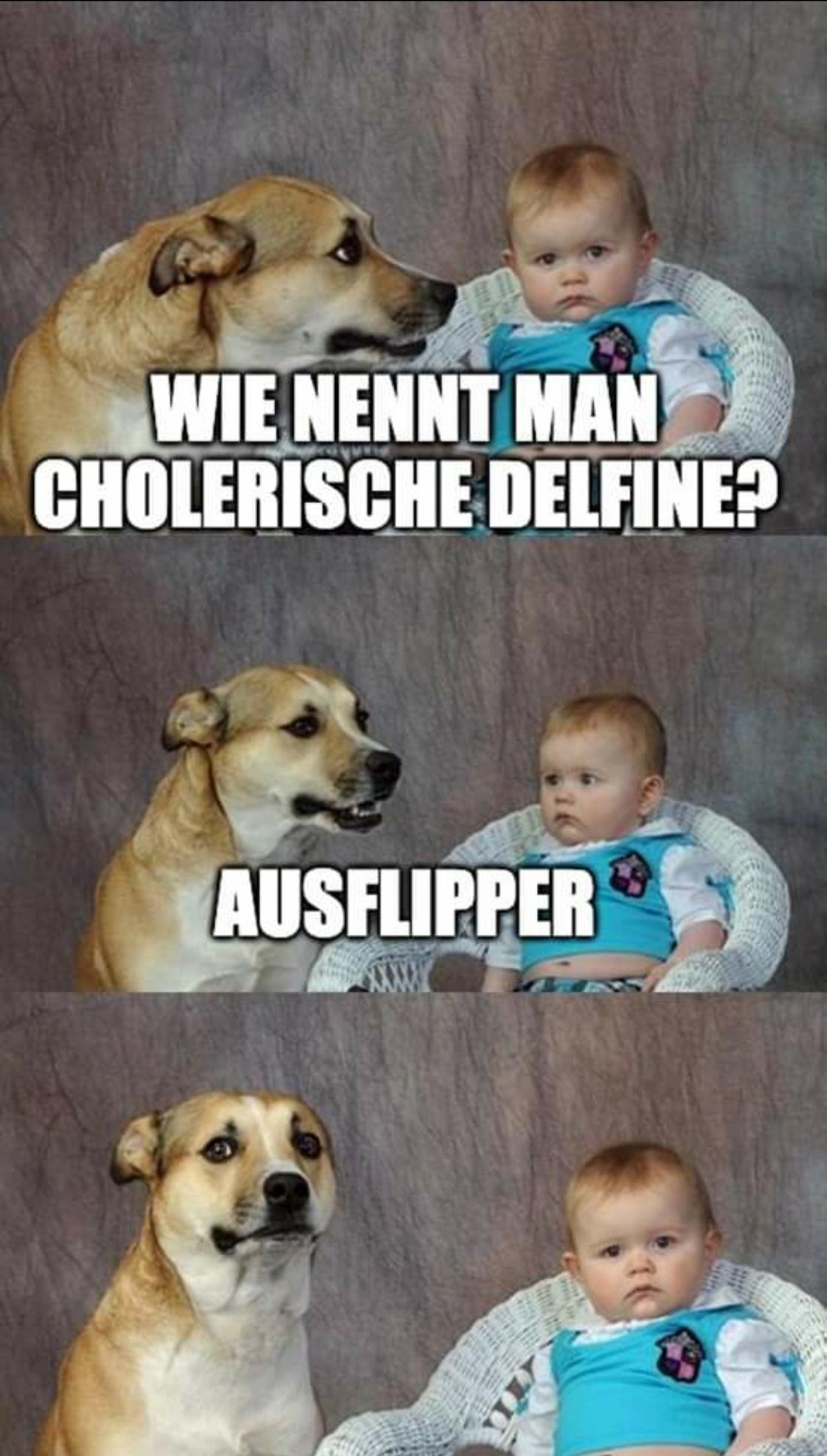Einsteigen, es geht los! Picdump! рџђ¬
FГјr Anna - hoffe dass sie Vorfreude nicht ausflippt.