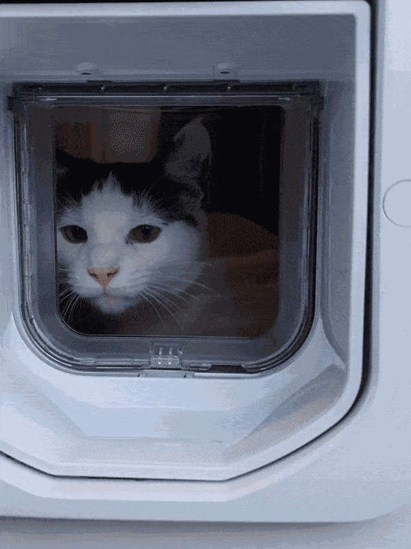 Animiertes GIF
