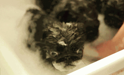 Animiertes GIF