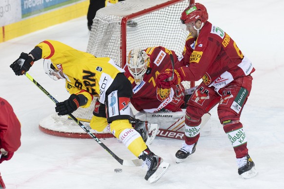Tigers Goalie Ivars Punnenovs, Tim Grossniklaus, rechts, im Kampf um den Puck gegen Berns Christian Thomas, links, waehrend dem Qualifikations-Spiel der National League, zwischen den SCL Tigers und de ...