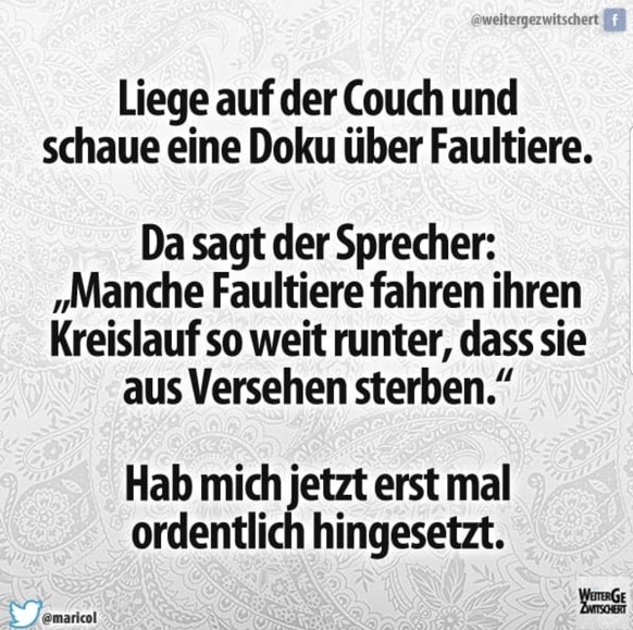 28 Tiere, die genauso faul sind wie du
Guten MorgÃ¤hhhnð´