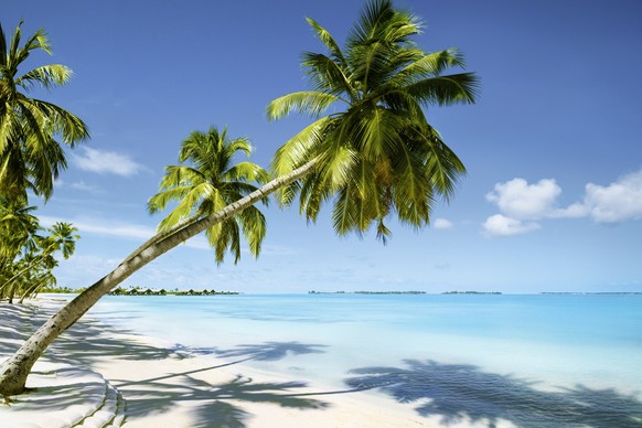 Beautiful Beach Resort
