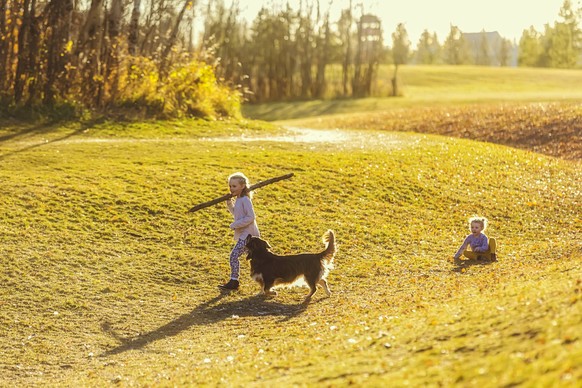 Two young girls playing with a dog in a city park at sunset on a warm fall evening; Edmonton, Alberta, Canada PUBLICATIONxINxGERxSUIxAUTxONLY Copyright: LJMxPhoto 12533690