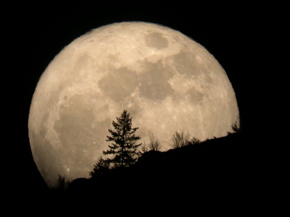 Wenn dir der Vollmond heute besonders gross erscheint, liegt das nicht an dir
Hallo i bims, 1 Mond vong PerigÃ¤um her.