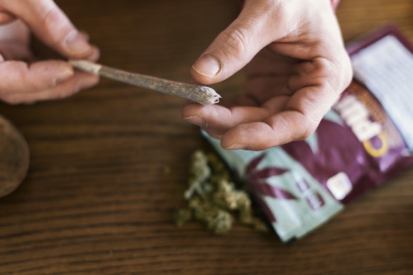 ARCHIVBILD ZUR MK DES BUNDSRATES UEBER MEDIZINALKANNABIS UND STUDIEN ZUM FREIZEITKONSUM VON KANNABIS, AM MITTWOCH, 4. JULI 2018 - A man rolls a THC-poor cannabis cigarette with C-Pure Fedtonic tabacco ...