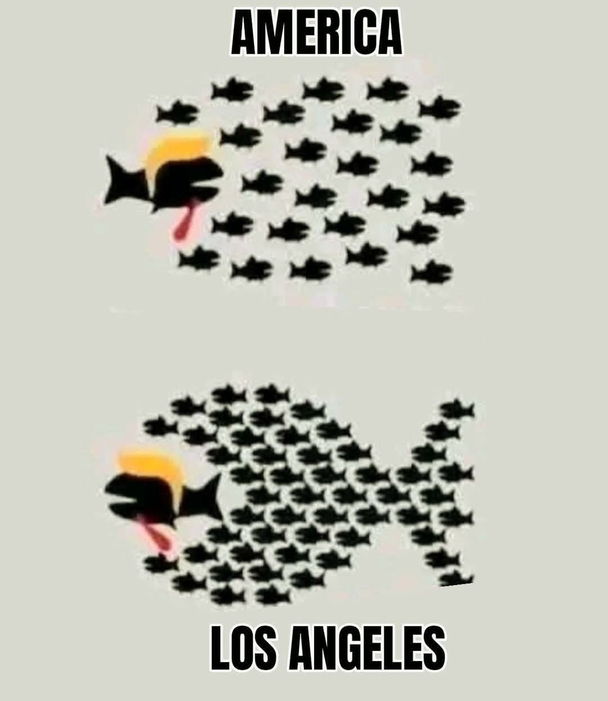 USA-Meme