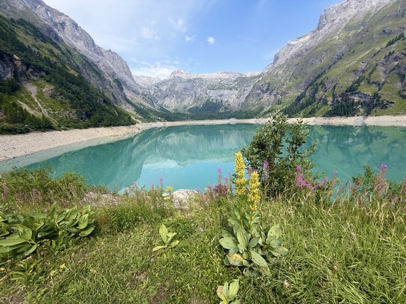 Bisse d'Ayent Bisse du Ro Lac de Tseuzier Suonenwandern Suonen Bisse Rauszeit Wandern Schweiz Suonenwanderung