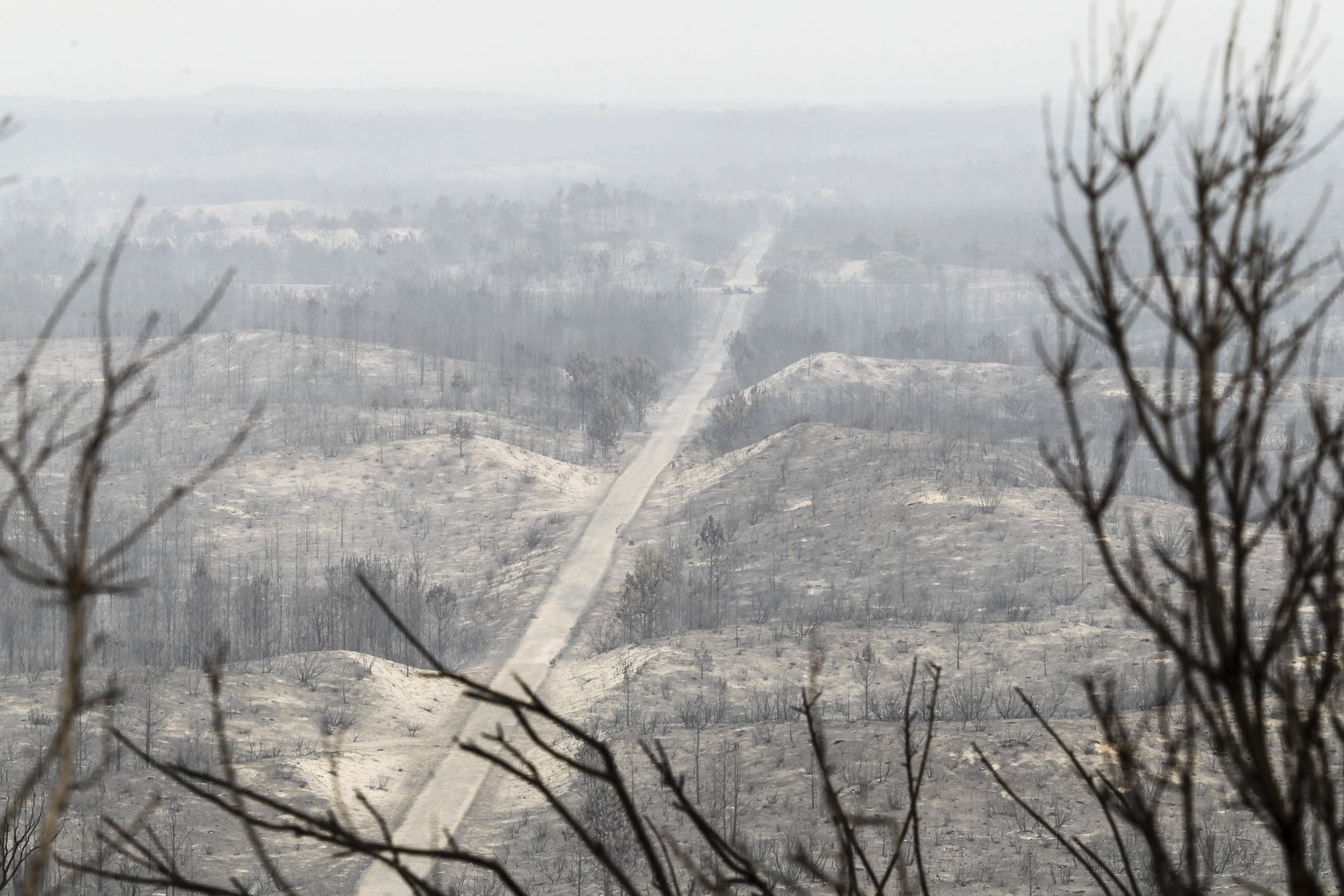 epa06269277 A road is seen in the middle of a forest destroyed by a wildfire in Vieira de Leiria, Marinha Grande, Center of Portugal, 16 October 2017. 6,000 firemen supported by 1,800 land vehicules a ...