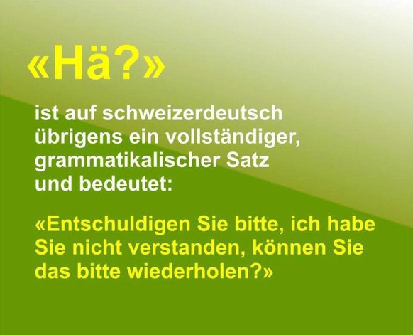 PICDUMP 426 – grüner wird&#039;s nicht, hopp! 🐸\nWieder was gelernt 😉