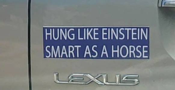 Okay bei diesen Autoaufklebern mussten wir lachen. 
https://pleated-jeans.com/2024/09/18/hilarious-bumper-stickers/