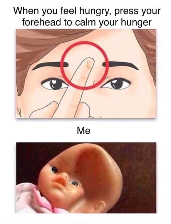 Hungry Memes: Stirn